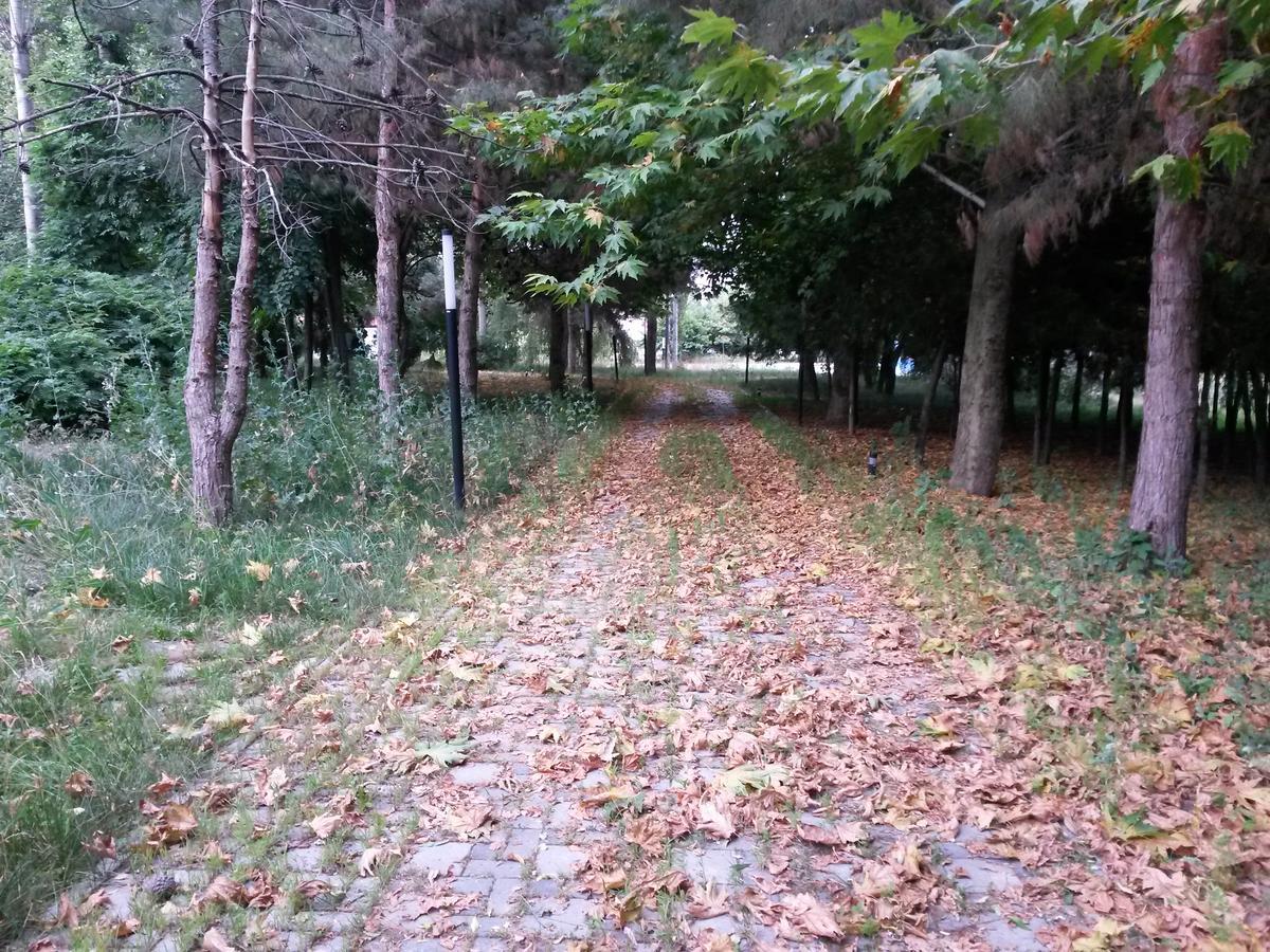 Sheki Olimpiya Hotel & Resort Buitenkant foto
