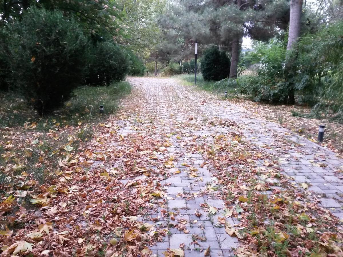 Sheki Olimpiya Hotel & Resort Buitenkant foto