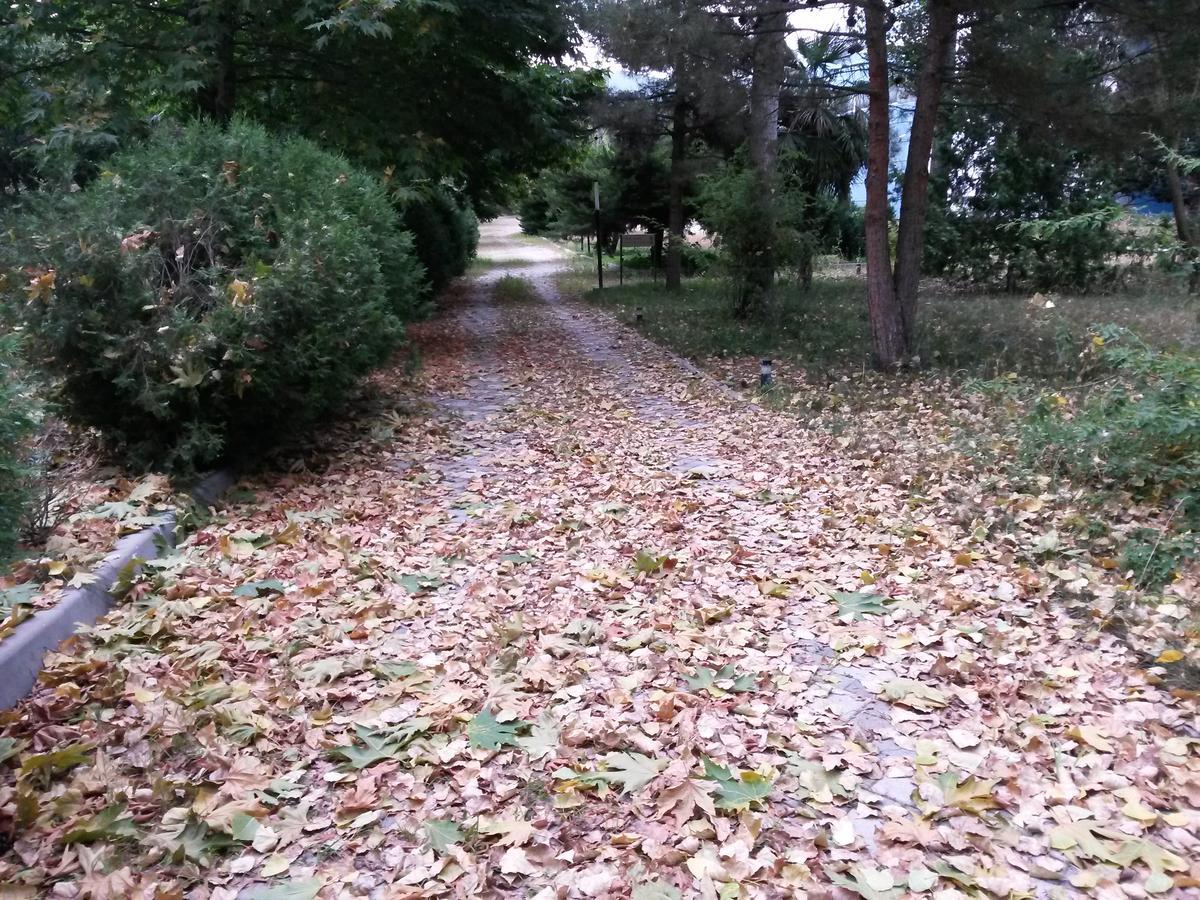 Sheki Olimpiya Hotel & Resort Buitenkant foto