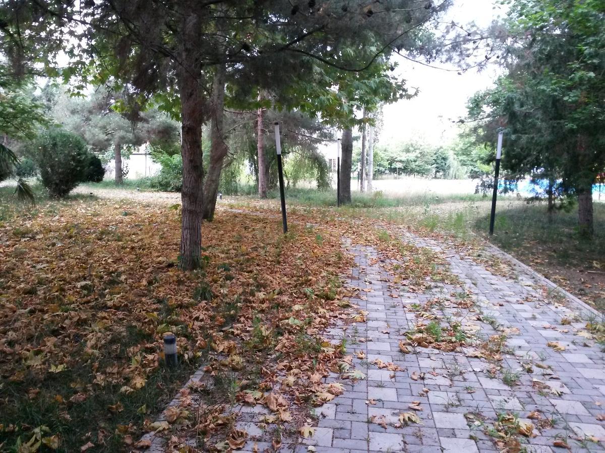 Sheki Olimpiya Hotel & Resort Buitenkant foto