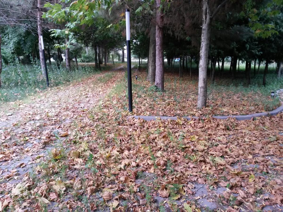 Sheki Olimpiya Hotel & Resort Buitenkant foto