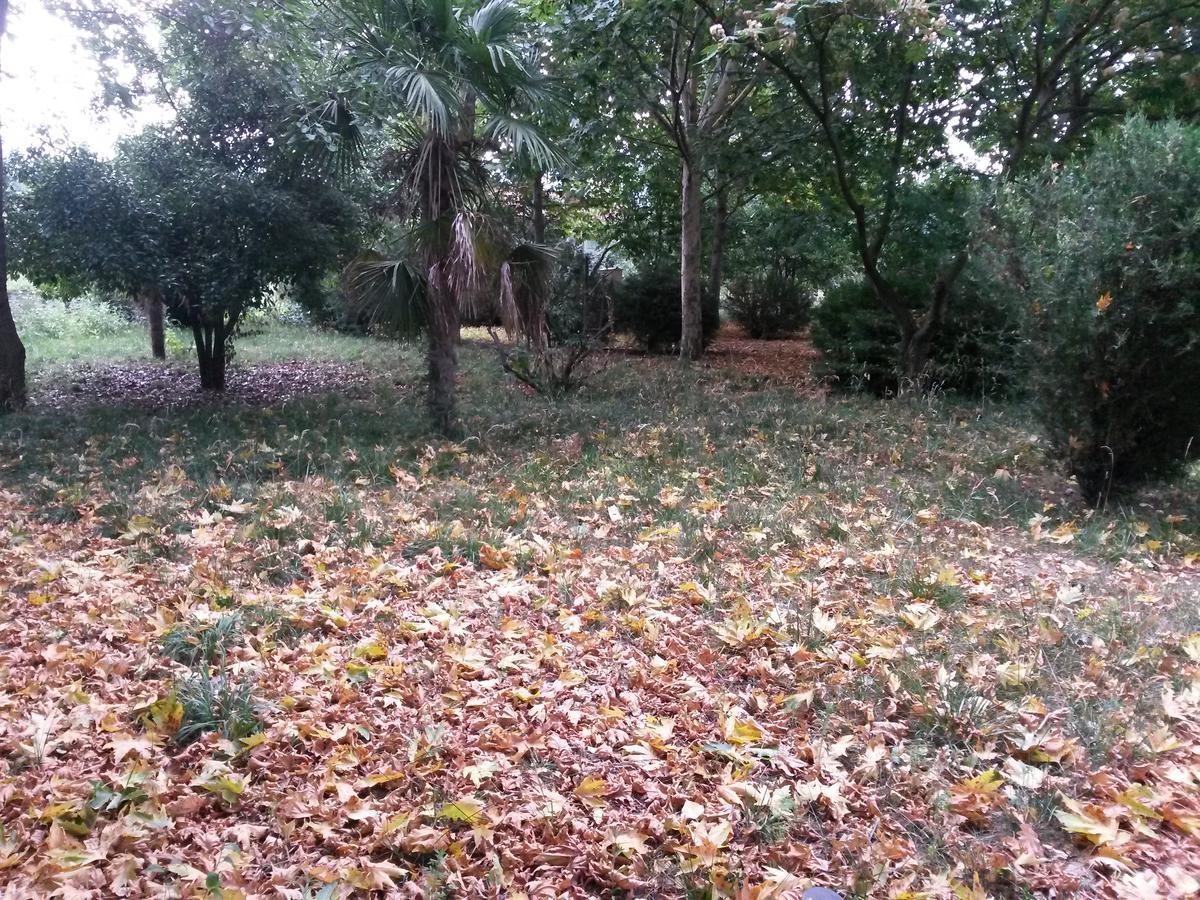 Sheki Olimpiya Hotel & Resort Buitenkant foto