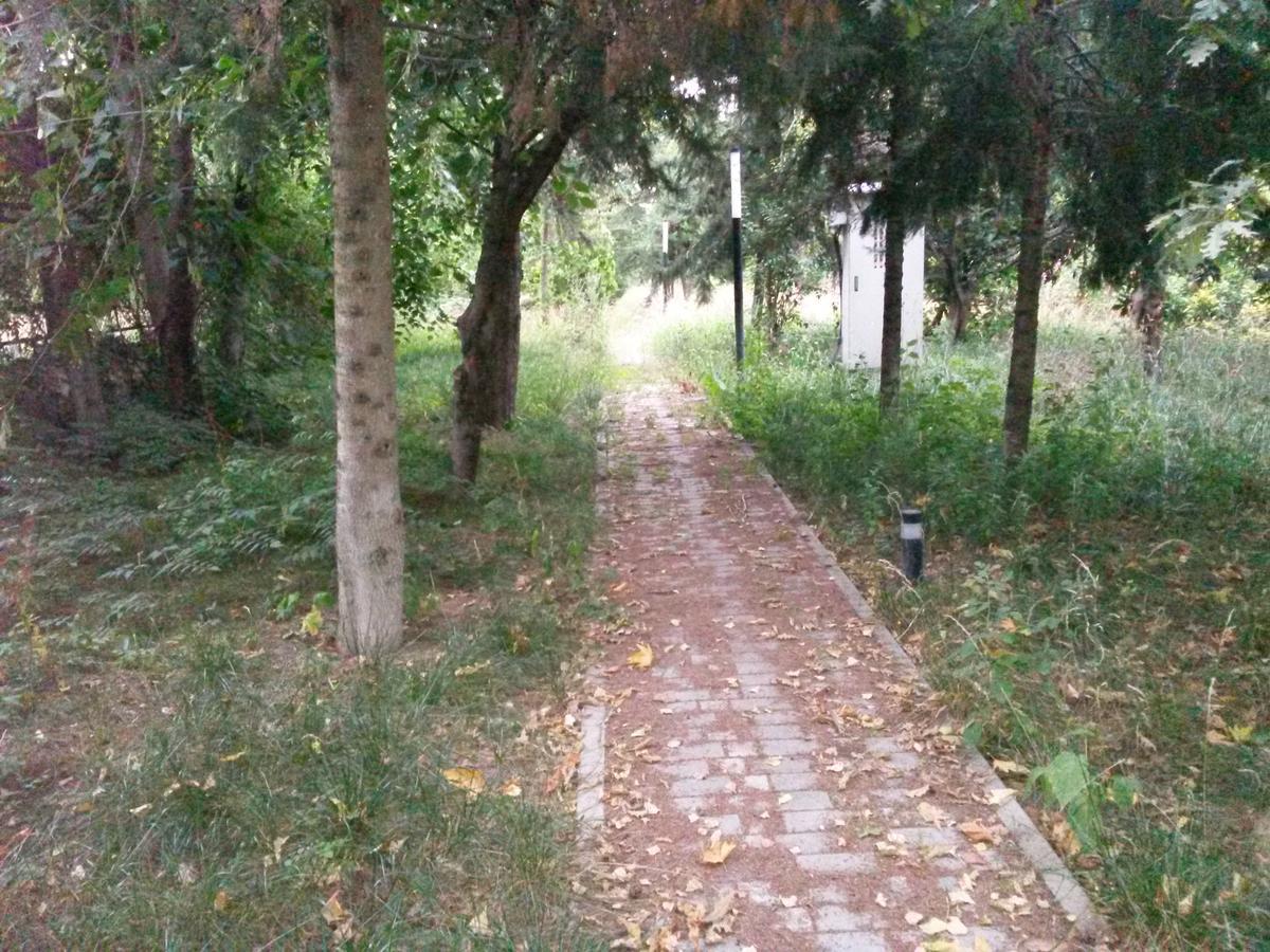 Sheki Olimpiya Hotel & Resort Buitenkant foto