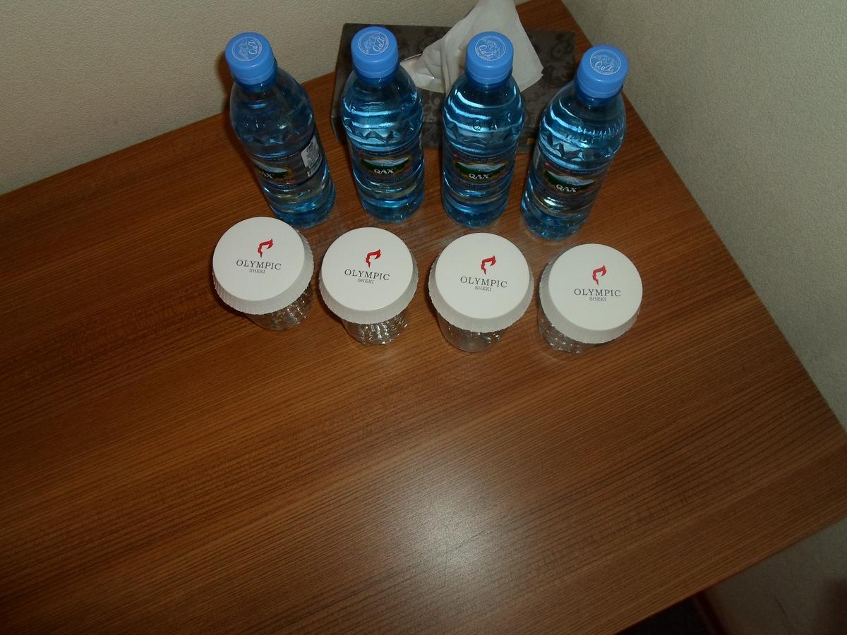 Sheki Olimpiya Hotel & Resort Buitenkant foto