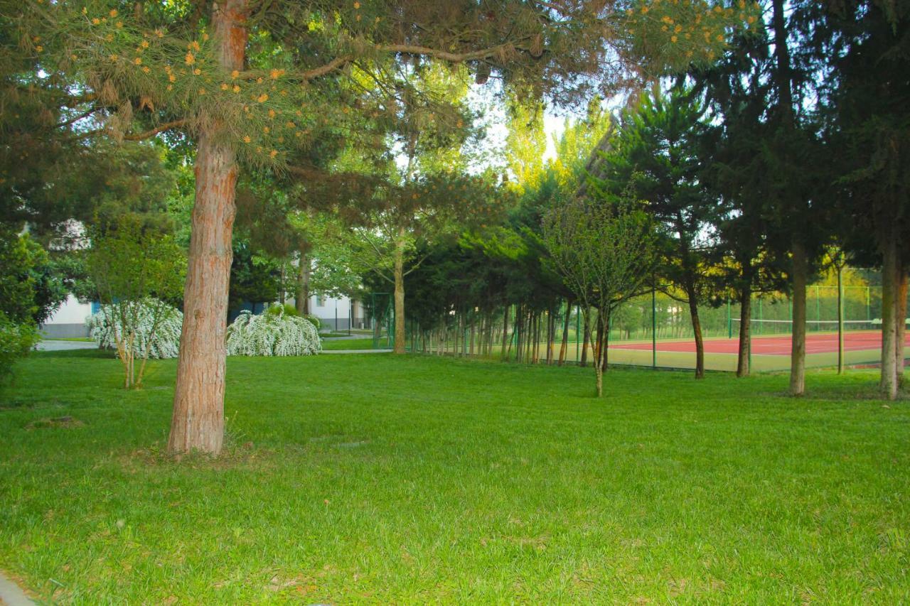 Sheki Olimpiya Hotel & Resort Buitenkant foto