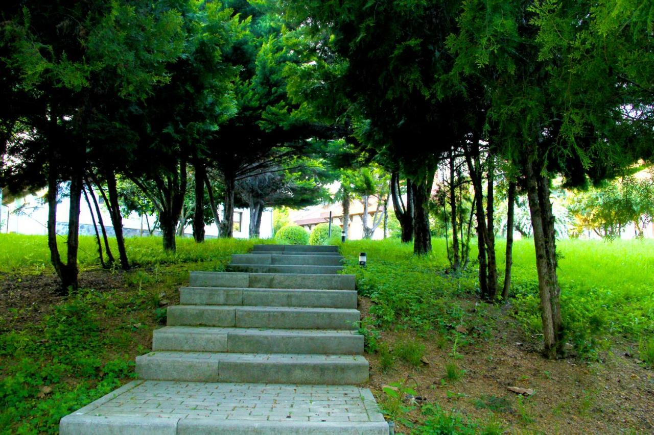 Sheki Olimpiya Hotel & Resort Buitenkant foto